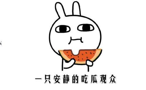 抖音吃瓜网,揭秘网红圈幕后故事，带你领略网络红人真实生活